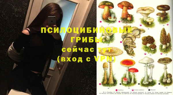 сатива Покровск